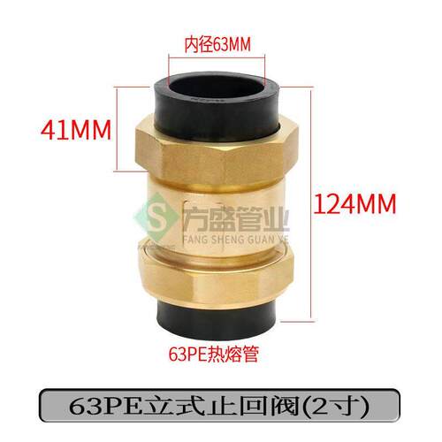 PE黄铜止回阀4/6分1寸卧式立式止阀内外丝水管道单向阀DN40/50/63