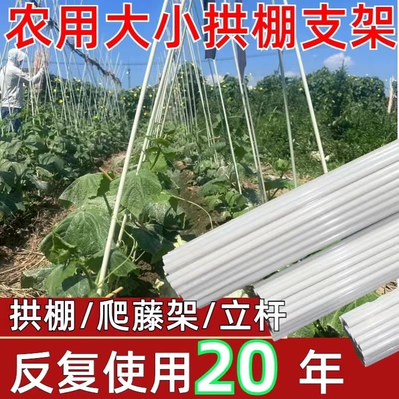 架杆种菜瓜果爬藤架西红柿豇豆塑料F纤维杆菜园支架玻纤秧苗植物 - 实物图