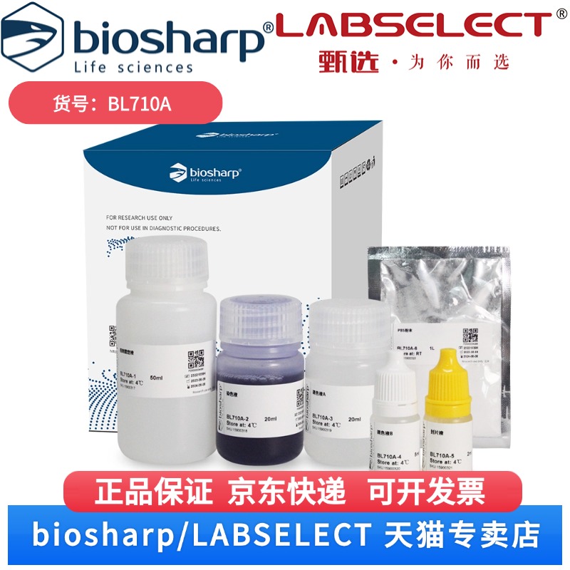 现货 细胞小室染色试剂盒 BL710A 20T Biosharp/白鲨 科研实验