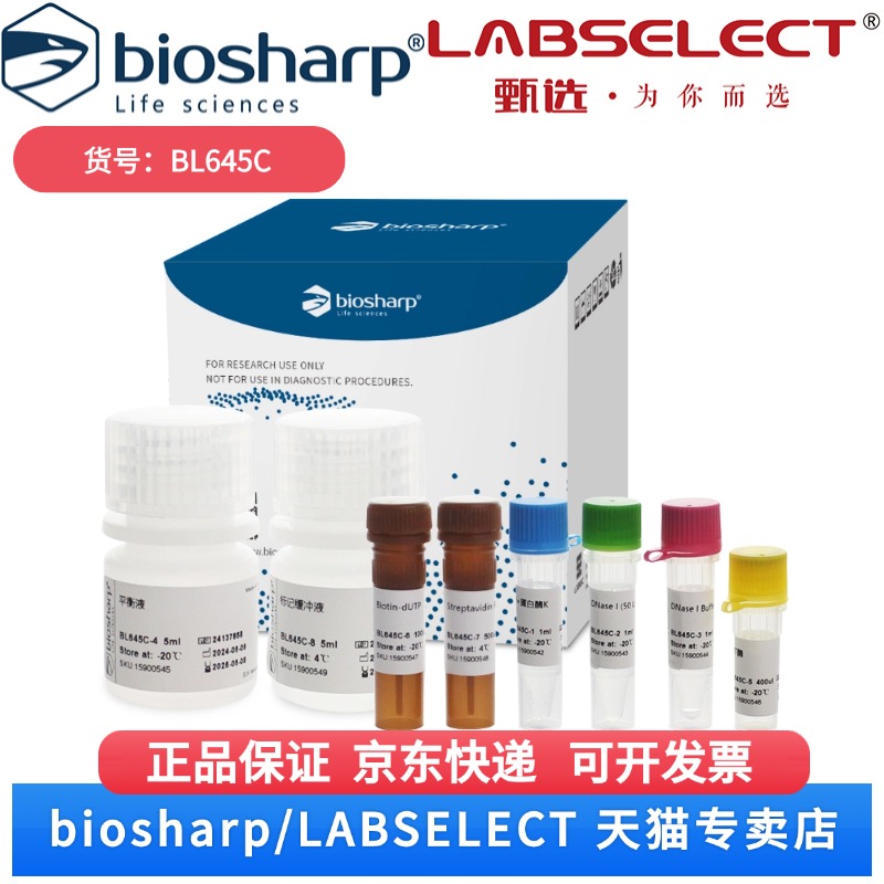 现货 TUNEL细胞凋亡检测试剂盒（FITC 绿色荧光标记法） BL645C 100T Biosharp/白鲨 科研实验