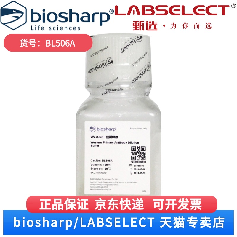 现货 Western一抗稀释液 BL506A 100ml/瓶  30瓶/箱 Biosharp/白鲨 科研实验
