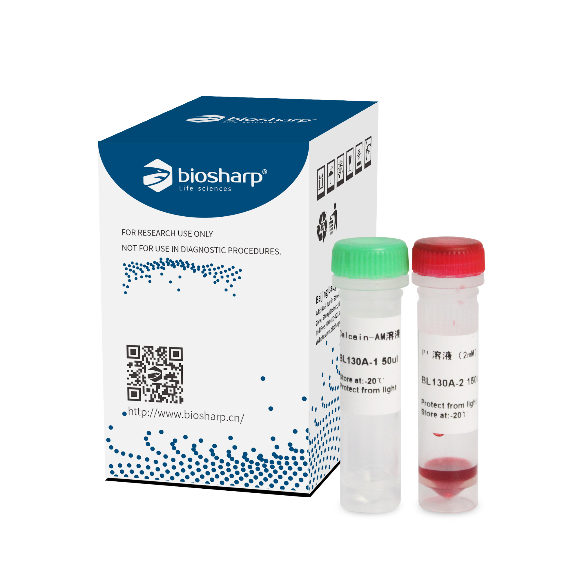 现货  Calcein-AM/PI细胞活性与细胞毒性检测试剂盒 BL130A 500T Biosharp/白鲨 科研实验