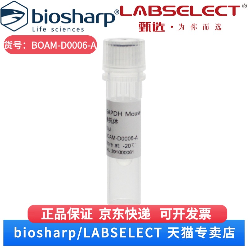 现货 GAPDH Mouse Monoclonal 内参抗体 BOAM-D0006-A 50μl Biosharp/白鲨 科研实验