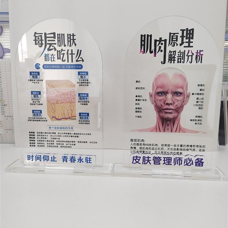 分层诠释肌肉原理皮肤层级展示牌透明台卡亚克力T牌医美红细光摆