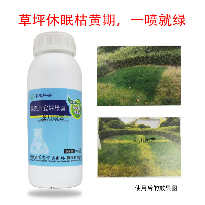 专用草坪增绿剂 坪安坪绿t美 草坪变绿剂发黄休眠一喷绿快速着色