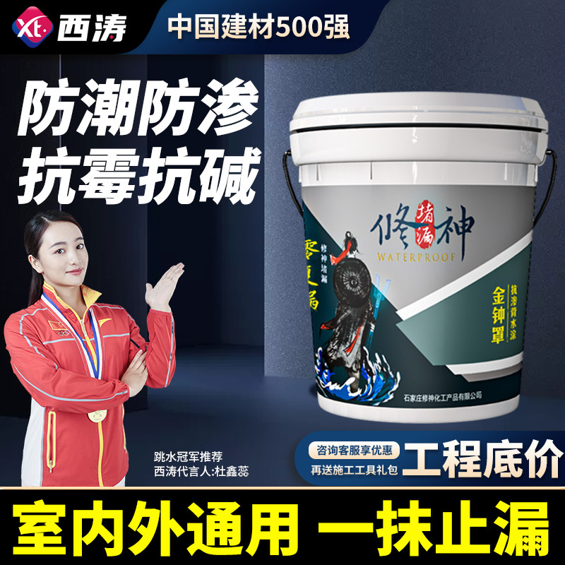 背水面负a压防水地下室水泥墙面屋顶抗渗防霉防潮材料管根补漏涂