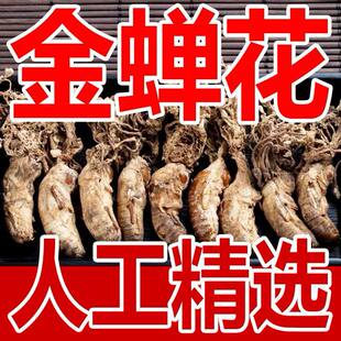 大别山正品野生精选金蝉花金蚕花婵花虫草知了花50g煲汤泡酒