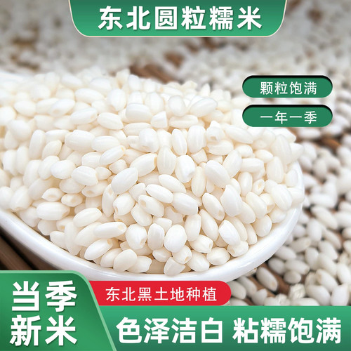 圆糯米包粽子专用新江米农家软糍粑酿酒八宝饭五谷杂粮端午节子