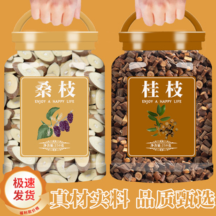 桑枝桂枝组合中药材正品新鲜干货桑树枝桑枝片桂枝尖泡水泡茶泡脚