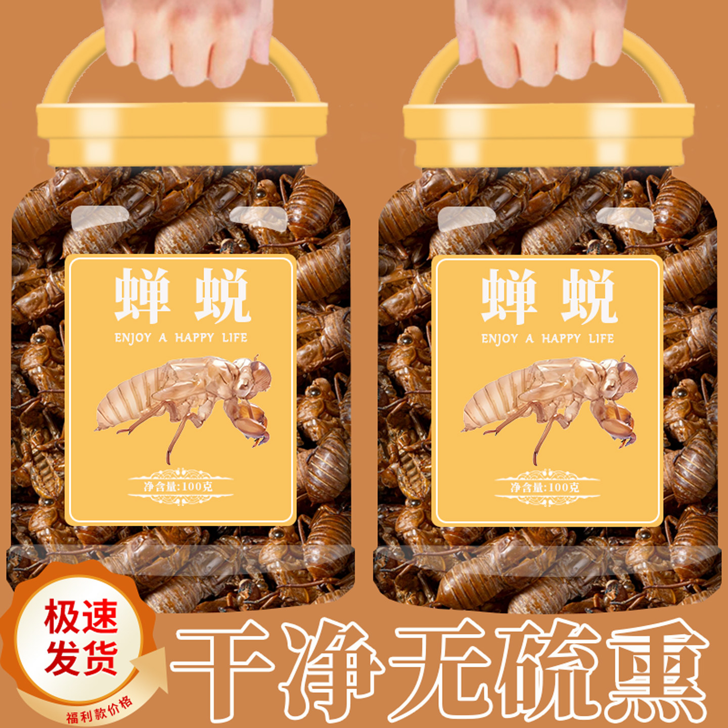 蝉蜕蝉衣新货金蝉衣蝉壳知了皮知了壳虫退蝉退壳中药材