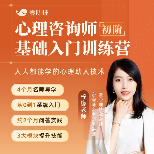 壹心理朝阳计划心理咨询师培训视频课程网课