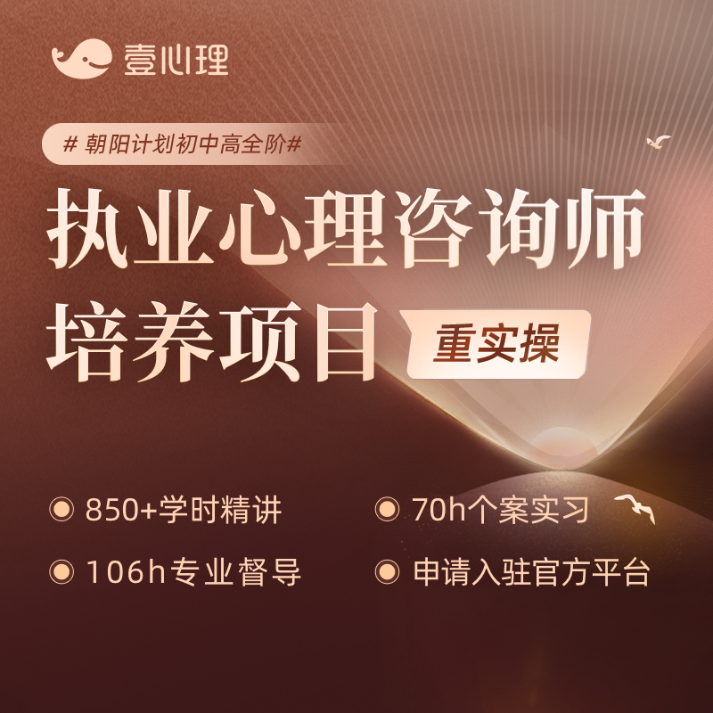 壹心理朝阳计划心理咨询师培训视频课程网课