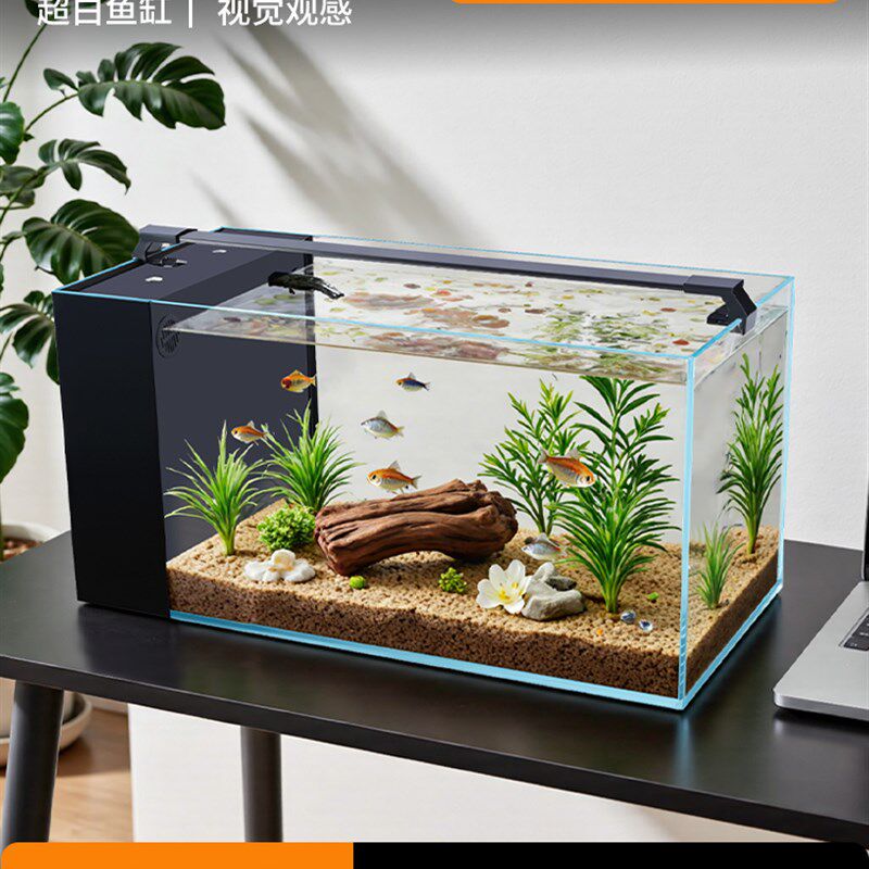 鱼缸过滤制氧一体机客厅2025新款超白玻璃侧滤小型桌面缸生态造景