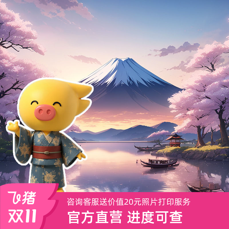 飞猪官方日本单次签证北京