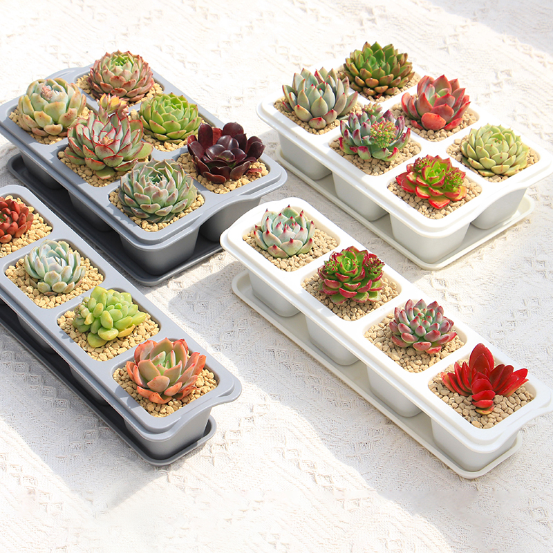 网红白色花盆长方形桌面窗台多肉种植格肉肉植物盆栽小号塑料花盆