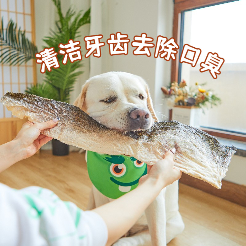 狗狗零食冻干三文鱼皮泰迪比熊金毛耐咬洁齿咬胶小中大型犬磨牙棒,宠物/宠物食品及用品,狗磨牙棒/洁齿骨/咬胶,淘宝优惠券,粉丝福利购,淘宝优惠卷