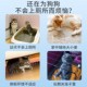 防猫乱尿神器宠物猫定点排便上厕所诱导剂猫大小便防止猫咪乱拉屎