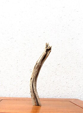 千年胡杨风化老木原木随形根艺摆件自然禅意艺术创意家居收藏饰品