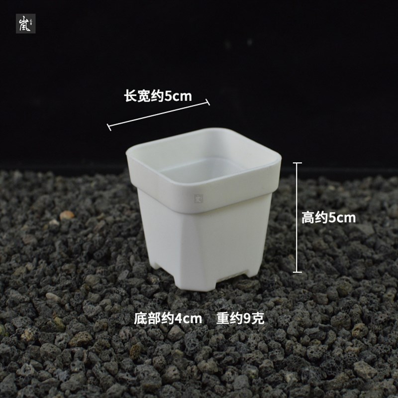 迷你DP00小方 多肉小方盆【组合装】方形花盆绿植简约塑料种植盆