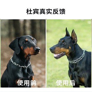 免胶水立耳夹幼犬吉娃娃狼青胶带绑耳雪纳瑞立耳神器立耳贴狗狗XM