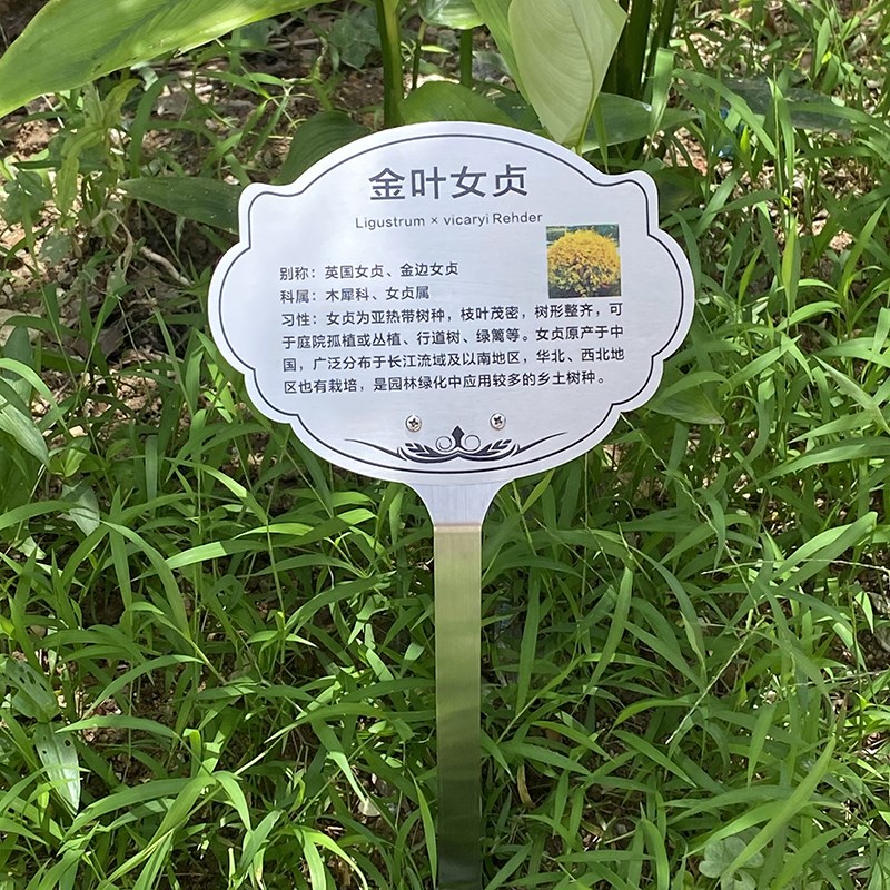 花草植物树木园艺介绍牌展示牌不锈钢金属插地牌广告牌定制二维码