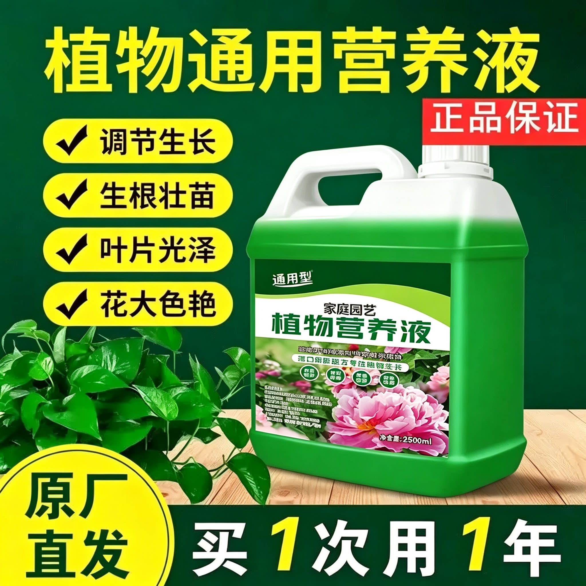 植物营养液通用型花卉浓缩室内绿植盆栽富贵竹家庭园艺肥料花肥