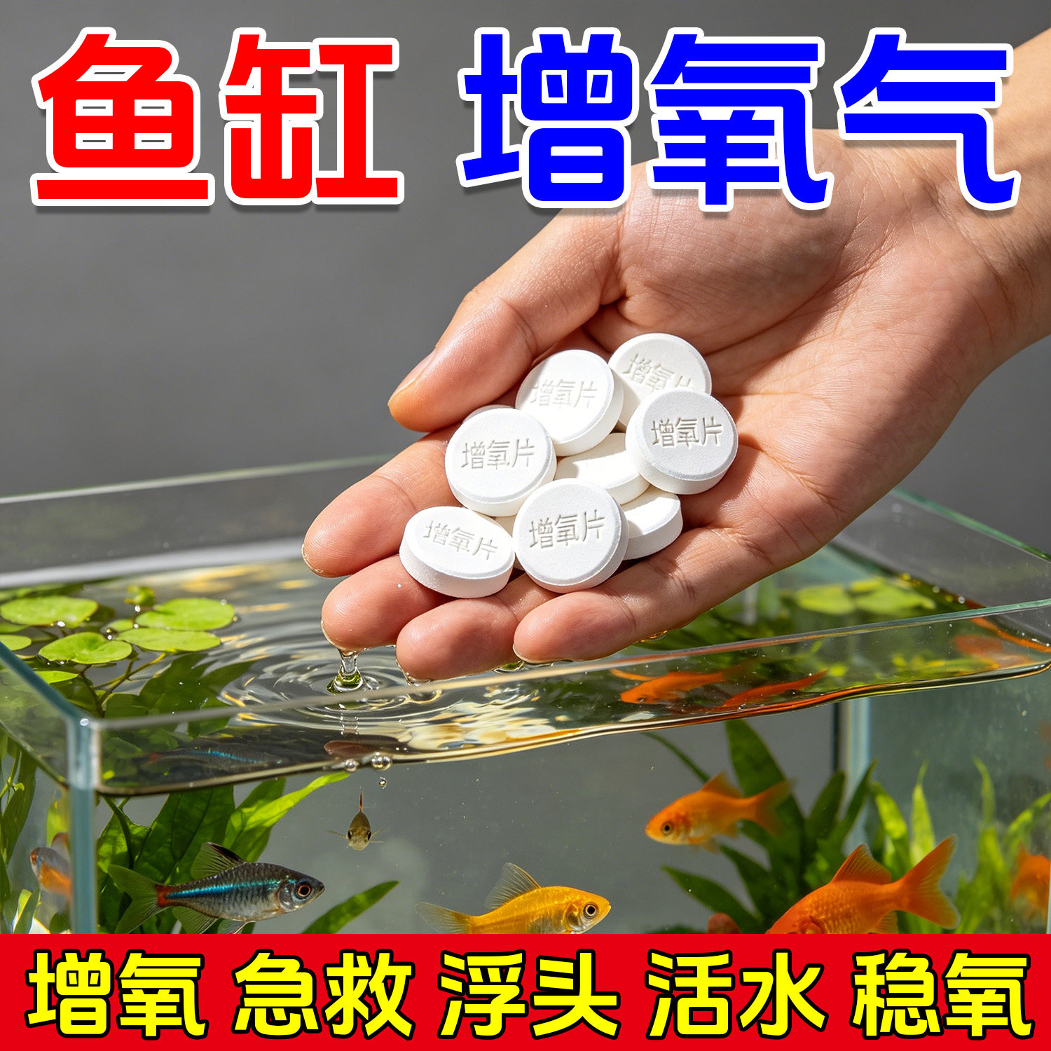 鱼缸增氧片养鱼长效氧气片缓释净化水质稳定剂制氧片水族增氧剂