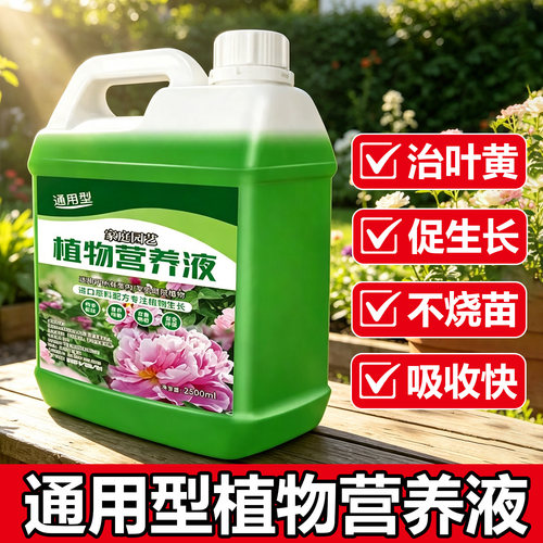 植物营养液通用型花卉浓缩室内绿植盆栽富贵竹家庭园艺肥料花肥