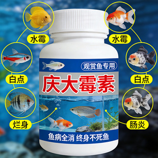 庆大霉素液金鱼病专用养鱼护鱼白点白毛掉磷蒙眼鱼缸水质稳定剂