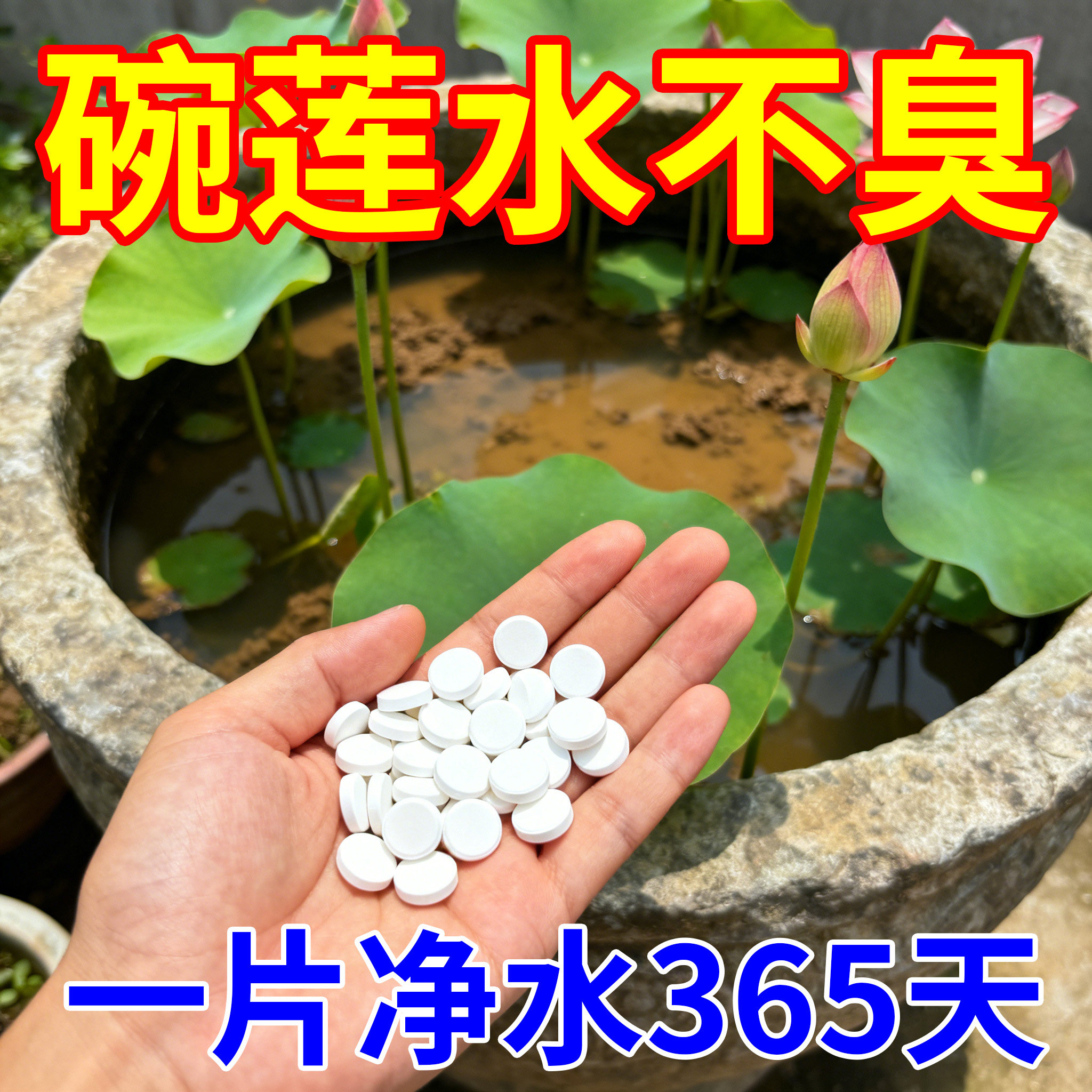 水培植物净水片鲜花保鲜消毒片净水保鲜剂碗莲水培通用净水剂,鲜花速递/花卉仿真/绿植园艺,家庭园艺肥料,淘宝优惠券,粉丝福利购,淘宝优惠卷