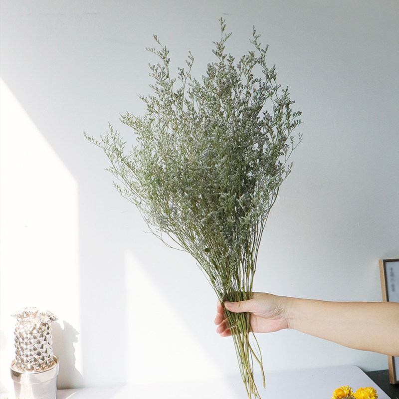 干花情人草花束 真花风干插花配草客厅摆设民宿装饰摆件软装花材