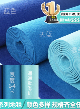 金宁蓝色地毯舞台幼儿园婚庆婚礼一次性庆典专用展会迎宾防滑开业