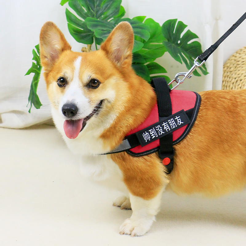 狗狗防爆冲胸抱婴袋牵引绳中型犬小型犬外出抱婴袋背心式遛狗绳狗