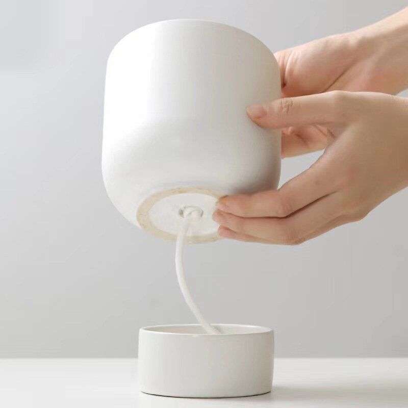 白玉虎皮兰盆栽桌面办公室内植物富贵竹客厅芦荟好养小绿植虎尾兰