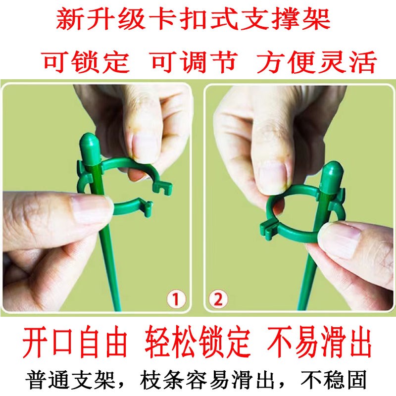 蝴蝶兰支架百合植物支撑杆固定支撑架多肉扶植花支架爬藤植物杆子