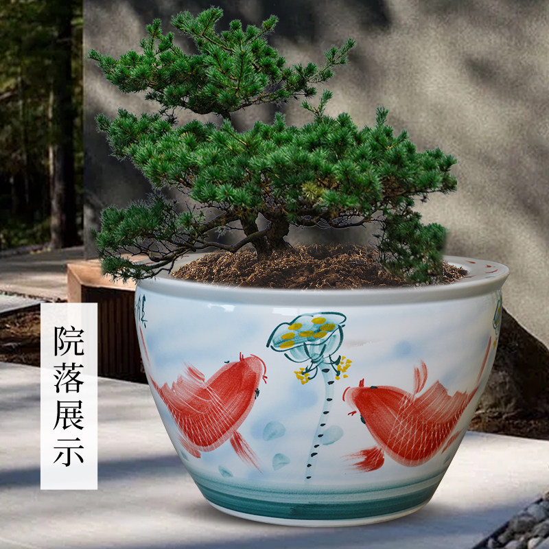 庭院大缸景德镇青花瓷水缸金鱼缸荷花碗莲睡莲盆乌龟缸酒店甲鱼缸