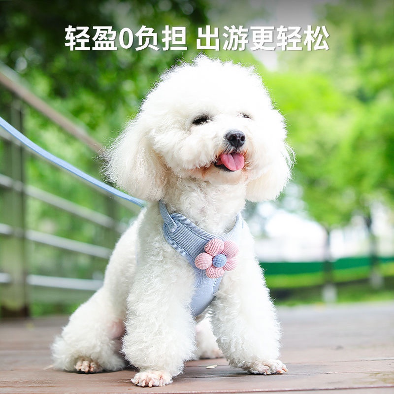 狗狗牵引绳可爱胸背带猫咪防挣脱小型犬泰迪比熊博美法斗宠物绳子