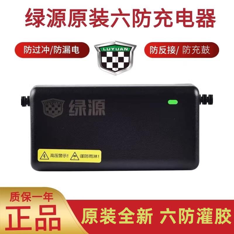 绿源充电器原装电动电瓶车铅酸蓄电池充电器48V60V72V30E40E-4T