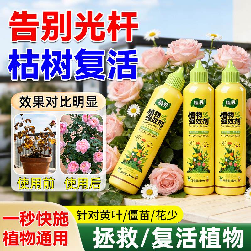 植界植物强效营养液富贵竹发财树除尘专用郁金香水仙室内通用肥封