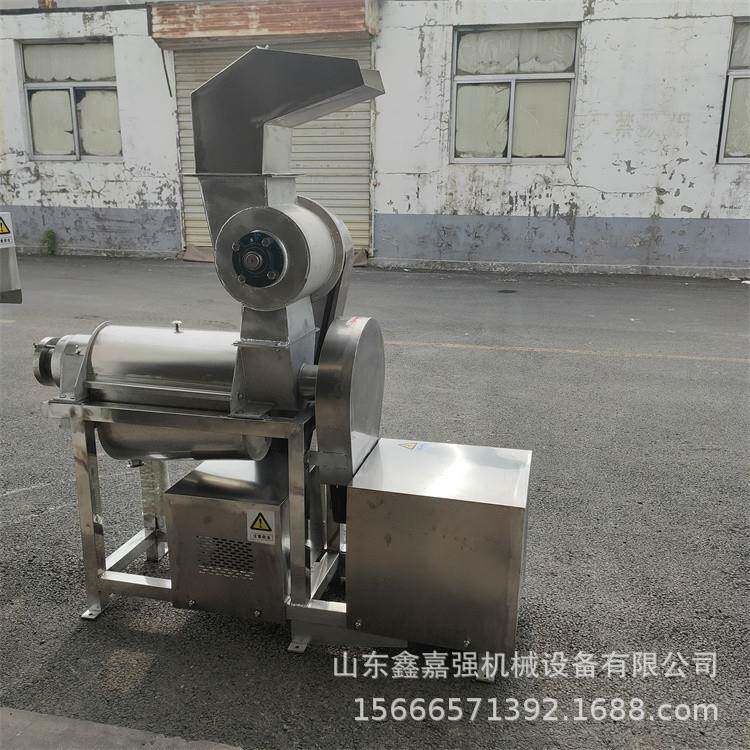 果蔬面条胡萝卜芹菜螺旋榨汁机果酱加工设备大型山楂去核打浆机