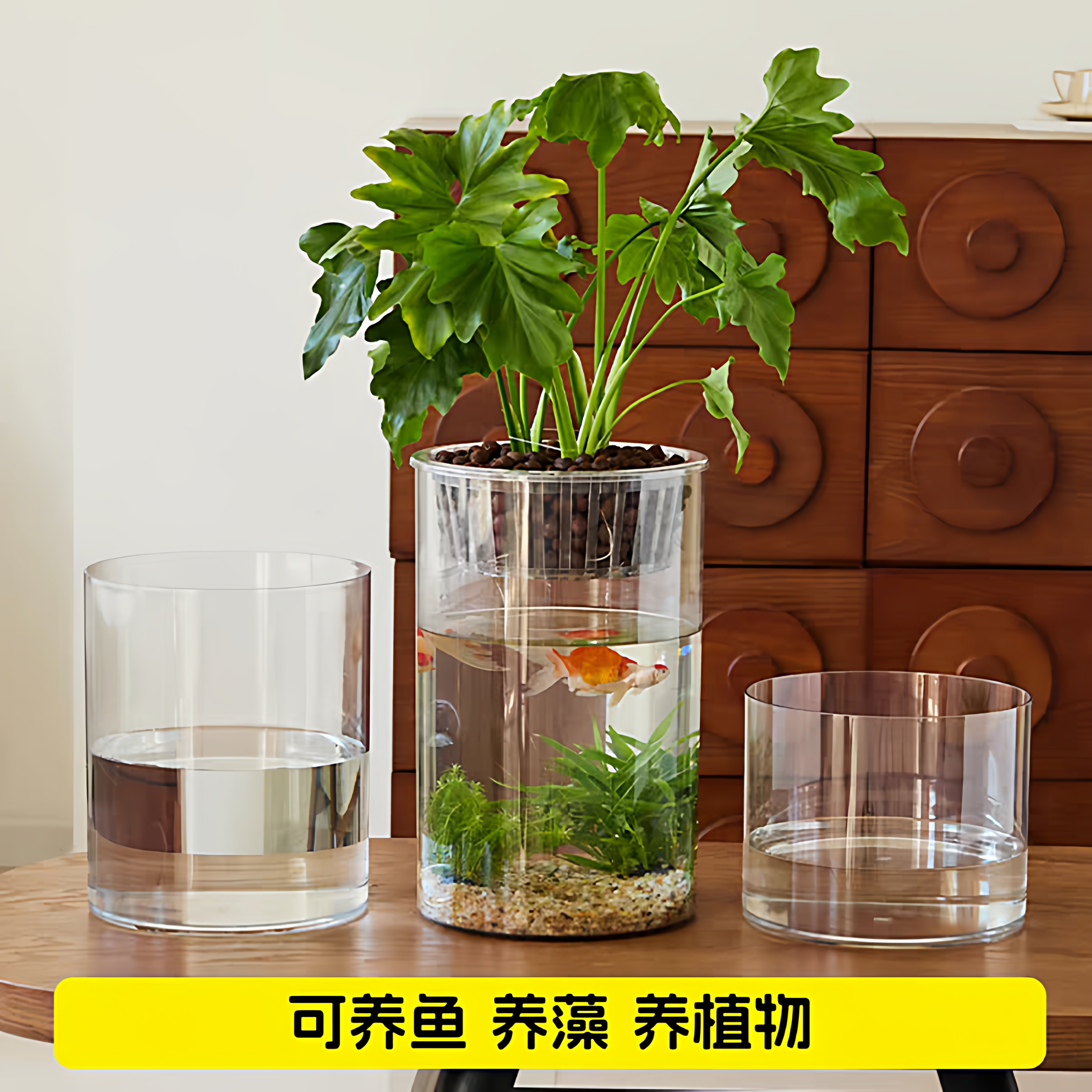 【带定植篮】亚克力防摔花瓶透明水养插花大号花盆白掌绿萝醒花桶