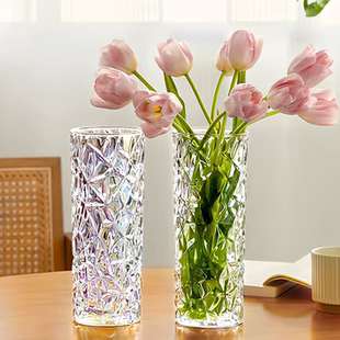 轻奢透明亚克力花瓶摆件客厅插花水养富贵竹专用花器高级感餐桌大