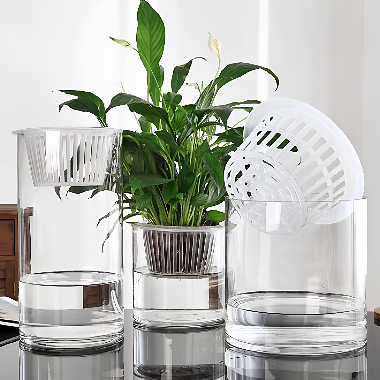 【带定植篮】亚克力防摔水培绿萝白掌花瓶透明直筒花盆桌面鲜花器