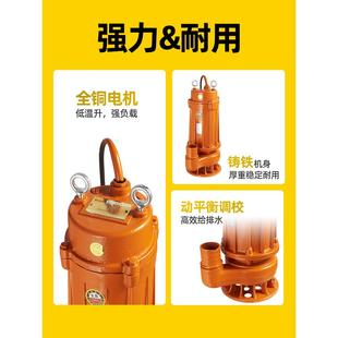 WQ小型污水泵2寸水泵抽粪泥浆220v家用潜水排污泵380v三相泥浆泵