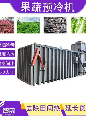 果蔬预冷机蔬菜去田间热快速降温冷却机生菜苋菜油麦菜真空预冷机