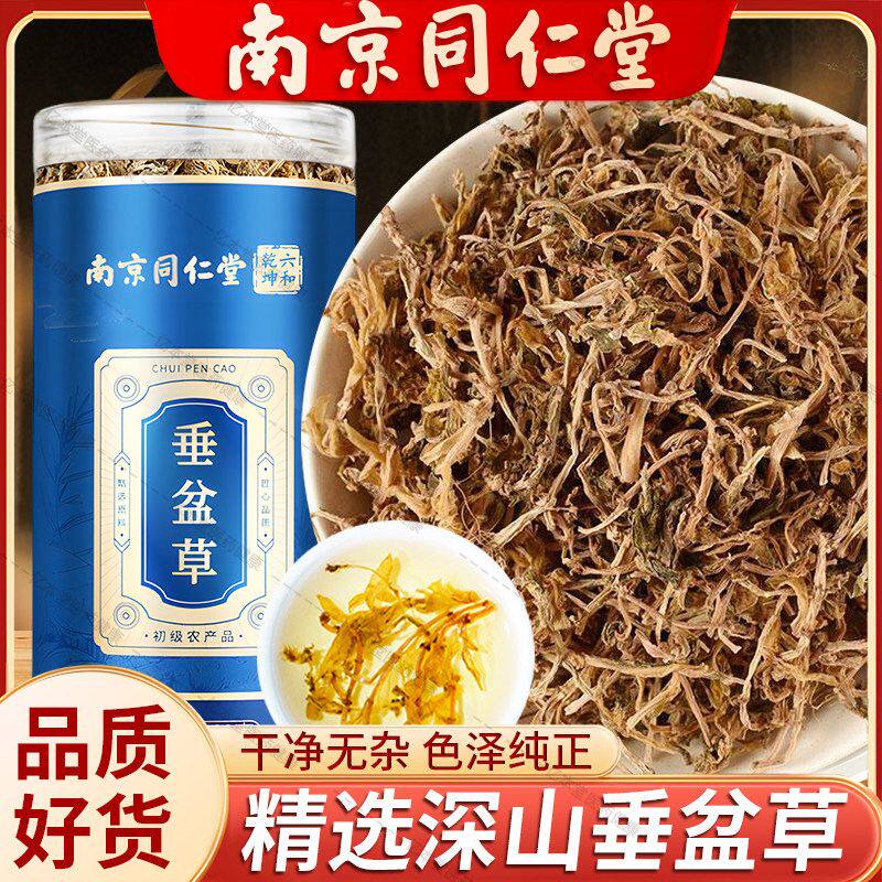 南京同仁堂垂盆草泡水泡茶喝男士垂盆草干非中药材官方正品旗舰店