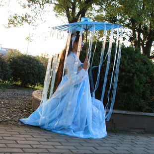 古代古装雨伞汉服花伞古风流苏伞彼岸花cos拍照道具飘带伞油纸伞