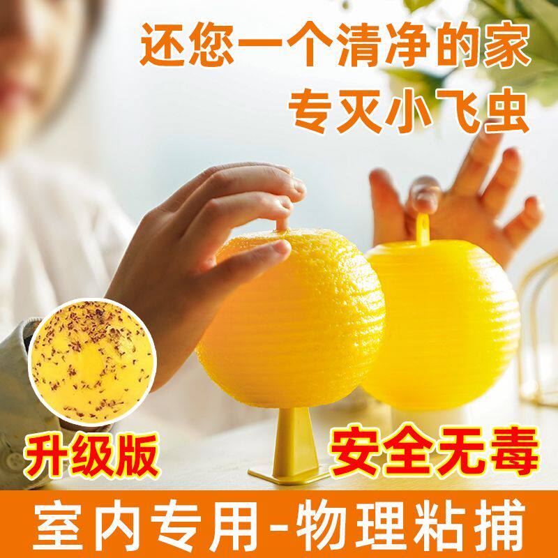 室内粘虫球果园粘小虫子家用厨房蚊蝇诱捕器无毒驱虫神器诱飞虫板