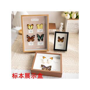 蝴蝶标本收纳展示盒实木大号昆虫化石保存玻璃镜面防虫盒1件
