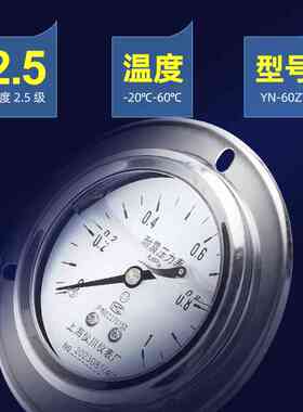 上海仪川仪表厂耐震压力表防抗震充油轴向带边安装YN-60/100/Z/ZT